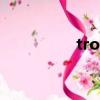 trot（關(guān)于trot的簡介）