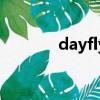 dayfly（關(guān)于dayfly的簡介）