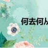 何去何從（關(guān)于何去何從的簡介）