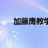 加藤鷹教學(xué)（關(guān)于加藤鷹教學(xué)的簡(jiǎn)介）