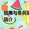 獵鷹與冬兵第五集（關(guān)于獵鷹與冬兵第五集的簡(jiǎn)介）