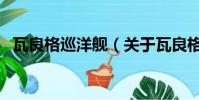 瓦良格巡洋艦(關(guān)于瓦良格巡洋艦的簡介)