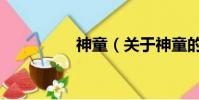 神童(關(guān)于神童的簡介)
