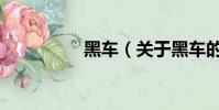 黑車(關(guān)于黑車的簡介)