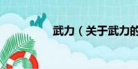 武力(關(guān)于武力的簡介)