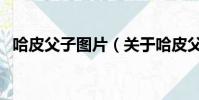 哈皮父子圖片(關(guān)于哈皮父子圖片的簡(jiǎn)介)