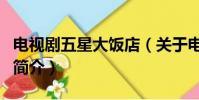 電視劇五星大飯店(關(guān)于電視劇五星大飯店的簡介)