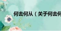 何去何從(關(guān)于何去何從的簡介)