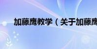 加藤鷹教學(xué)(關(guān)于加藤鷹教學(xué)的簡(jiǎn)介)