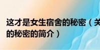 這才是女生宿舍的秘密(關(guān)于這才是女生宿舍的秘密的簡介)