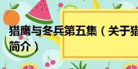 獵鷹與冬兵第五集(關(guān)于獵鷹與冬兵第五集的簡(jiǎn)介)