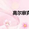 高爾察克（關于高爾察克的簡介）