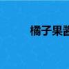 橘子果醬（關(guān)于橘子果醬的簡介）