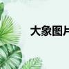 大象圖片（關于大象圖片的簡介）