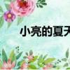 小亮的夏天（關于小亮的夏天的簡介）