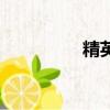 精英（關(guān)于精英的簡(jiǎn)介）