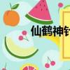 仙鶴神針（關(guān)于仙鶴神針的簡介）
