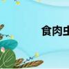 食肉蟲（關(guān)于食肉蟲的簡介）