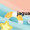 jaguar（關于jaguar的簡介）