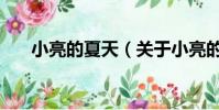 小亮的夏天(關于小亮的夏天的簡介)