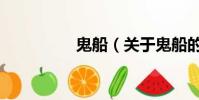 鬼船(關(guān)于鬼船的簡介)