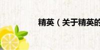 精英(關(guān)于精英的簡(jiǎn)介)