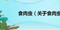食肉蟲(關(guān)于食肉蟲的簡介)