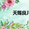 天賜良兒（關(guān)于天賜良兒的簡(jiǎn)介）