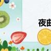 夜曲（關(guān)于夜曲的簡(jiǎn)介）