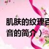 肌膚的紋理百度影音（關(guān)于肌膚的紋理百度影音的簡(jiǎn)介）