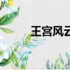 王宮風(fēng)云（關(guān)于王宮風(fēng)云的簡介）