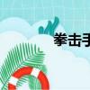 拳擊手（關(guān)于拳擊手的簡介）