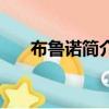 布魯諾簡介（關(guān)于布魯諾簡介的簡介）