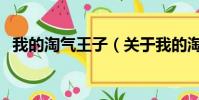 我的淘氣王子(關(guān)于我的淘氣王子的簡(jiǎn)介)