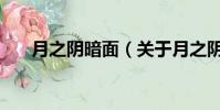 月之陰暗面(關(guān)于月之陰暗面的簡介)