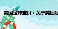 美國(guó)足球?qū)氊悾P(guān)于美國(guó)足球?qū)氊惖暮?jiǎn)介)