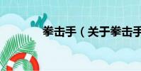拳擊手(關(guān)于拳擊手的簡介)