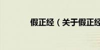 假正經(jīng)(關(guān)于假正經(jīng)的簡介)
