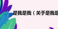 是我是我(關(guān)于是我是我的簡(jiǎn)介)