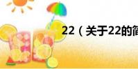 22(關(guān)于22的簡介)