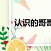 認識的哥哥（關(guān)于認識的哥哥的簡介）