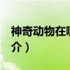 神奇動物在哪里 （關于神奇動物在哪里 的簡介）