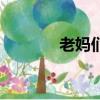 老媽們（關(guān)于老媽們的簡介）