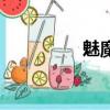 魅魔（關于魅魔的簡介）