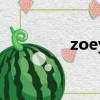 zoey（關于zoey的簡介）