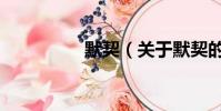 默契(關(guān)于默契的簡(jiǎn)介)