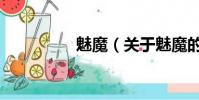 魅魔(關于魅魔的簡介)