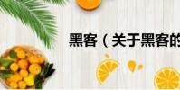 黑客(關(guān)于黑客的簡介)