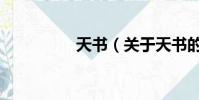 天書(關于天書的簡介)