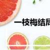 一枝梅結(jié)局恩彩太可憐（一枝梅結(jié)局）